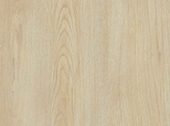 Marone oak