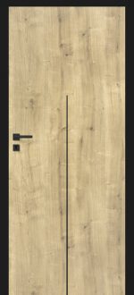 model 1