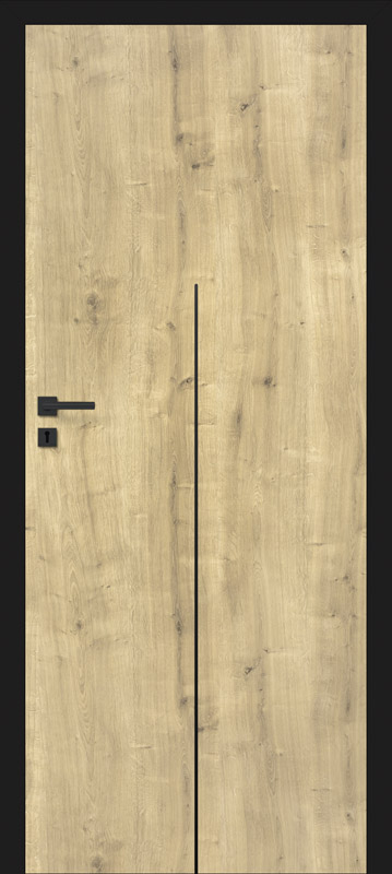 model 1