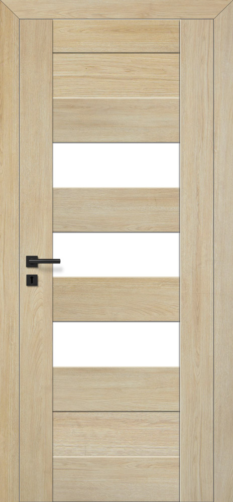 model 6